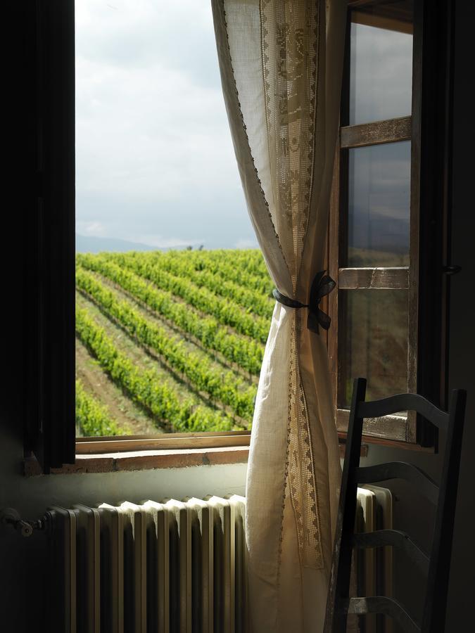 Contado San Lorenzo B&B And Wine Castilenti Экстерьер фото
